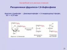 D-фруктозо-1,6-дифосфат