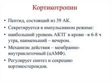 Кортикотропин