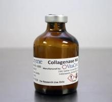 Коллагеназа