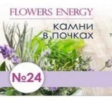 Flowers Energy №17