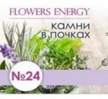 Flowers Energy № 15 Иммунодефицит