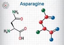 L-Аспарагин