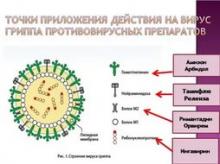 Моновалентная субстанция вируса гриппа типа А (сплит, инактивированная)