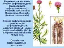 Рапонтикума сафлоровидного (Левзеи) корневищ с корнями брикет круглый (Rhapontici carthamoidis (Leuzea) rhizomatis cum radicibus briket rotundum)